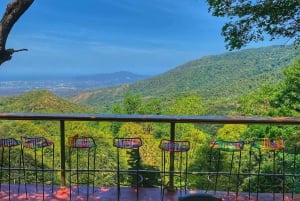 Magical and Exotic Minca Coffee and Cacao Tour From Santa Marta