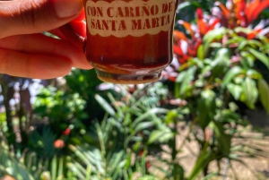 Magical and Exotic Minca Coffee and Cacao Tour From Santa Marta