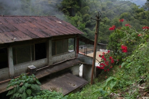 Minca, Waterfalls & Coffee Farm Tour