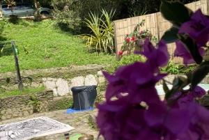 Minca: Sound Bath and Jacuzzi Experience