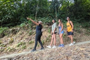 Santa Marta/Minca: Tour de café, cacau e cascata
