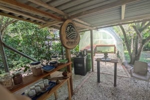 Santa Marta/Minca: Tour de café, cacau e cascata