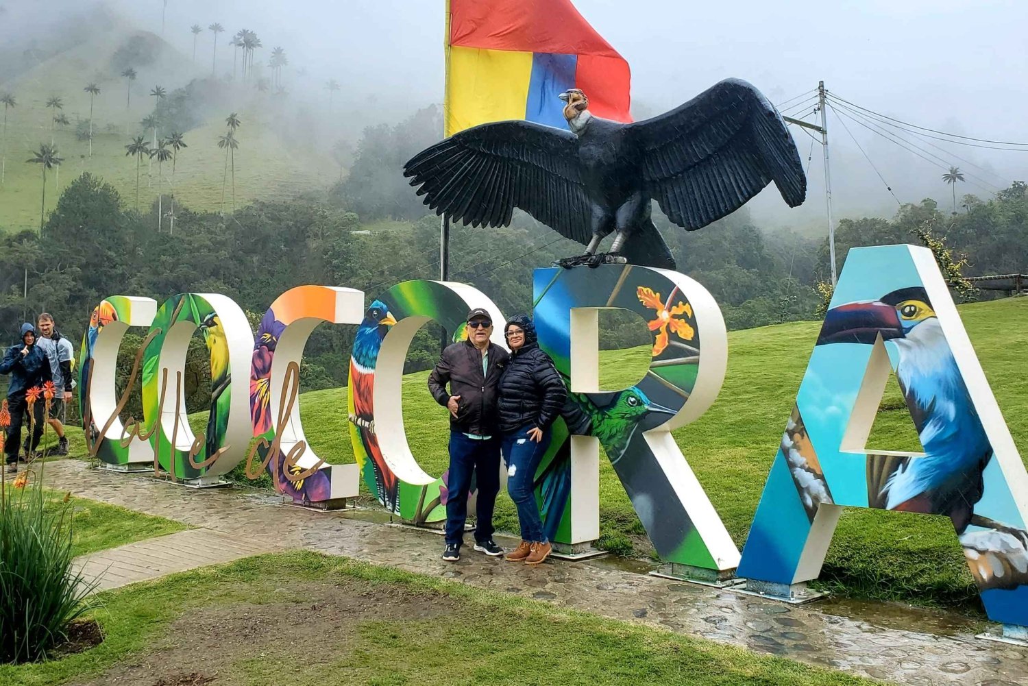 Mini-expédition au cœur de la vallée de Cocora