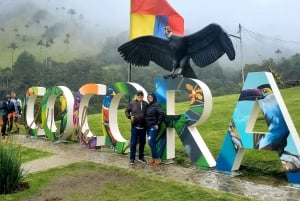 Mini Expedition to the heart of the Cocora Valley