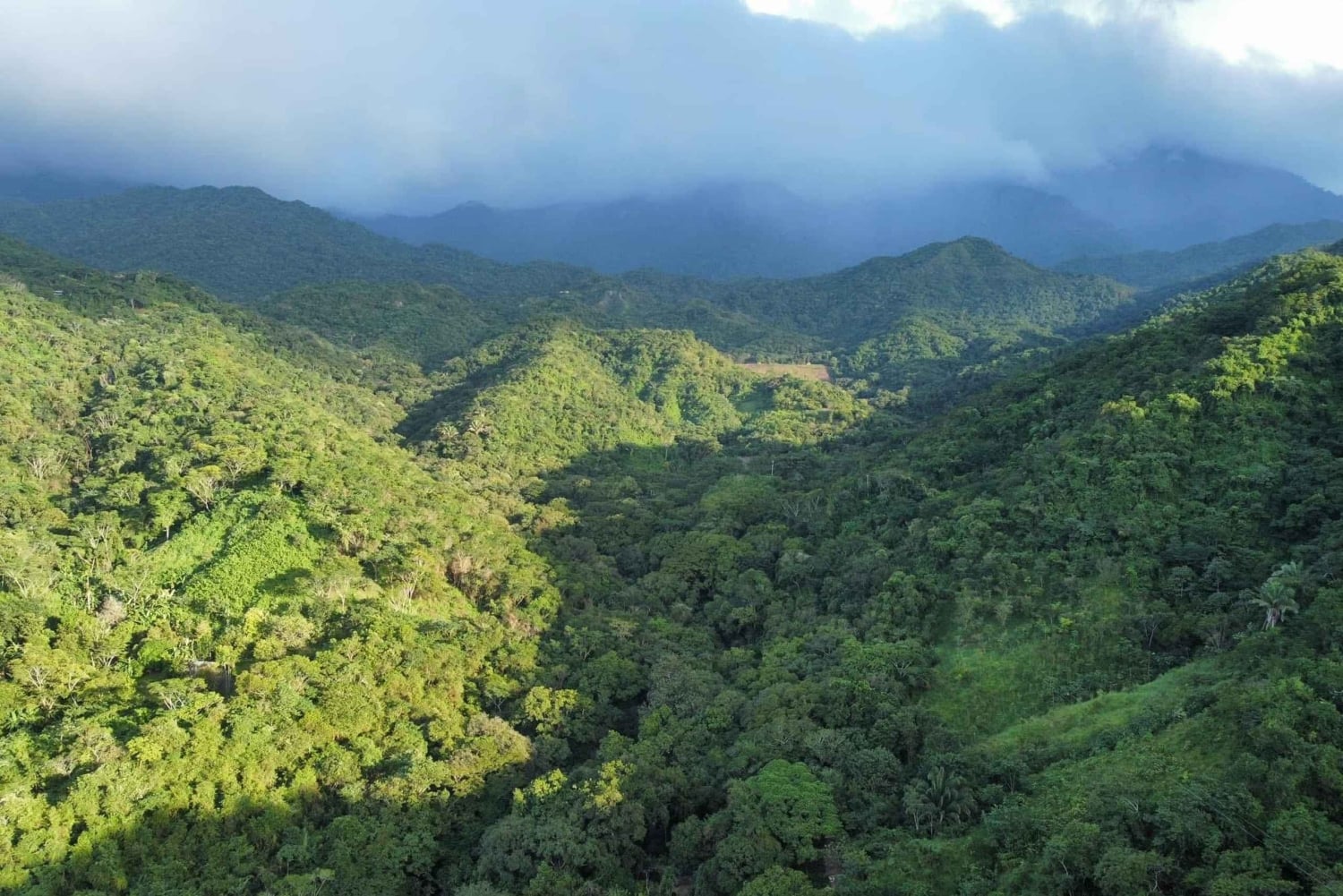 Tour a la Montaña - Santa Marta - Tour Sierra Limom