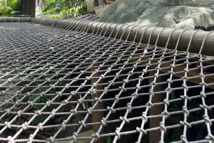 Tour a la Montaña - Santa Marta - Tour Sierra Limom