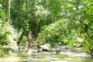 Tour a la Montaña - Santa Marta - Tour Sierra Limom