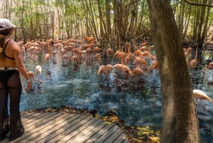 Tour di un giorno della voliera nazionale e del plancton di Playa Blanca