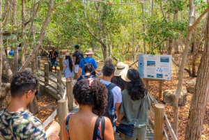 Tour di un giorno della voliera nazionale e del plancton di Playa Blanca