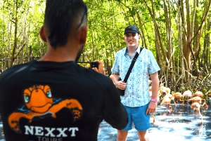 Tour di un giorno della voliera nazionale e del plancton di Playa Blanca