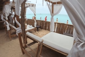 Tour di un giorno della voliera nazionale e del plancton di Playa Blanca