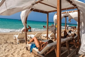 Tour di un giorno della voliera nazionale e del plancton di Playa Blanca