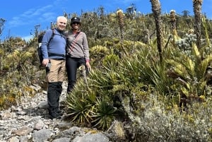 Parc national de Los Nevados : observation des oiseaux et visite volcanique