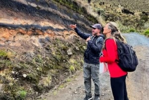 Parc national de Los Nevados : observation des oiseaux et visite volcanique