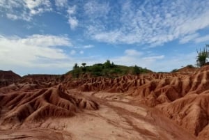 Neiva: Guided Day Trip to the Tatacoa Desert with Lunch
