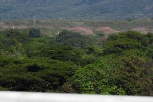 NEIVA: Historiallinen ja kulttuurinen kiertomatka, johon sisältyy melontaretki Magdalena-joella.