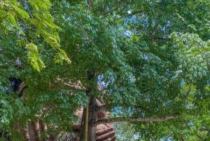 NEIVA: Historiallinen ja kulttuurinen kiertomatka, johon sisältyy melontaretki Magdalena-joella.