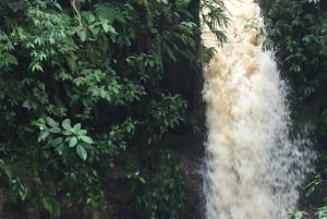 Neiva: Rappelling and Hiking Adventure with Guide