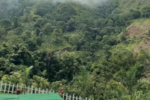 Neiva: Rappelling and Hiking Adventure with Guide