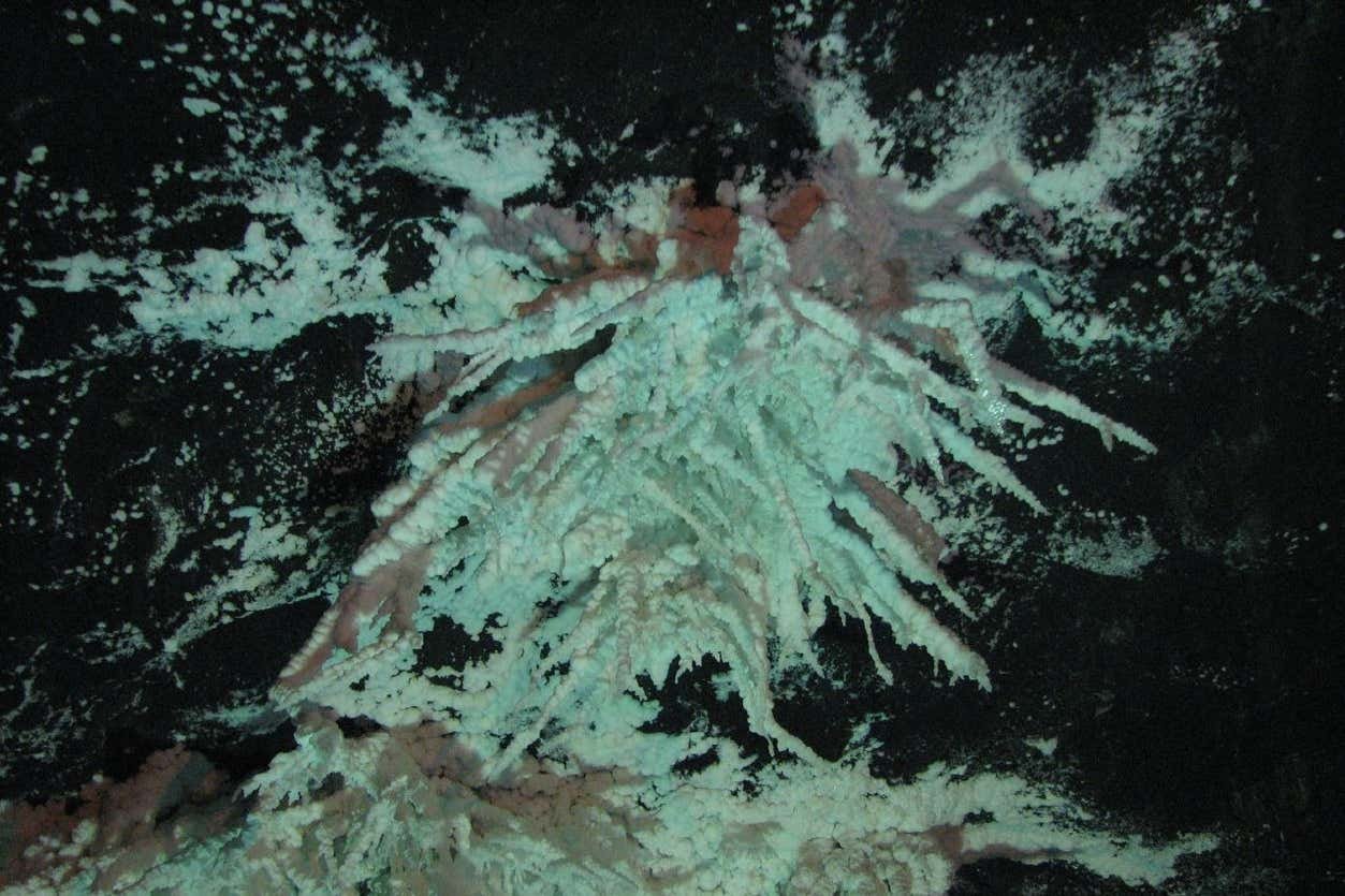 Nemocón Salt Mines Tour