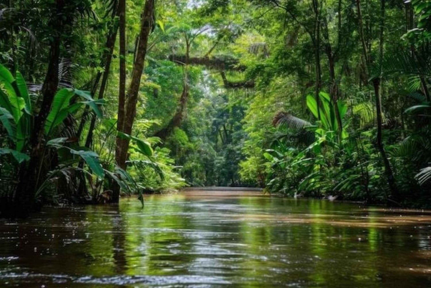 Нуки: река Анкачи, поход по джунглям и истории коренных народов
