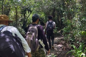 Nuquí: Ancachí River, Jungle Trek & Indigenous/Local Stories