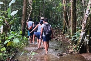 Nuquí: Ancachí River, Jungle Trek & Indigenous/Local Stories
