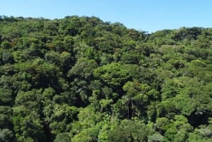 Nuquí: Ancachí River, Jungle Trek & Indigenous/Local Stories