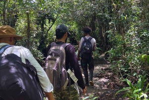 Нуки: река Анкачи, поход по джунглям и истории коренных народов