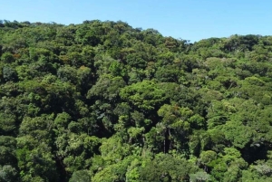 Нуки: река Анкачи, поход по джунглям и истории коренных народов