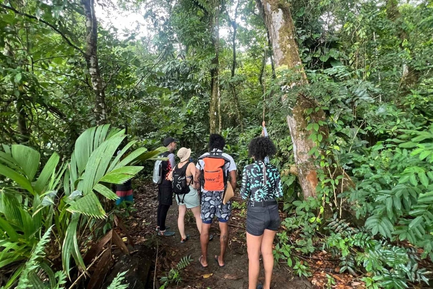 Nuquí: tour en barco por el golfo de Tribuga con cascadas y manantiales