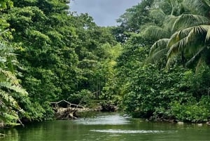 Nuquí: tour en barco por el golfo de Tribuga con cascadas y manantiales