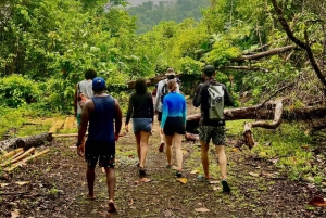 Nuquí: tour en barco por el golfo de Tribuga con cascadas y manantiales