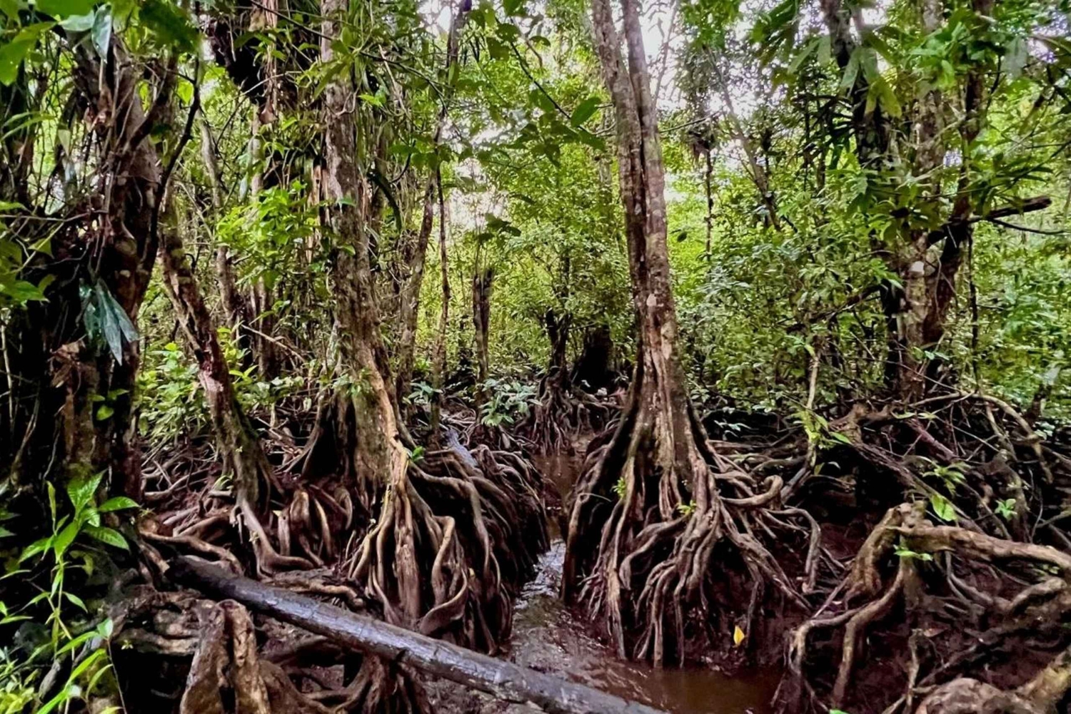 Нуки и Панги: треккинг, река, пляжи и местная история