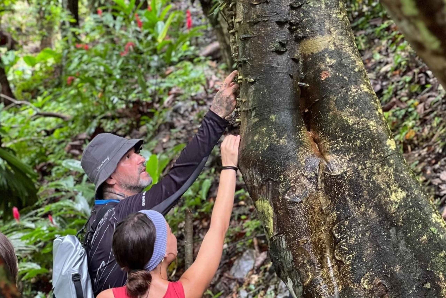 Нуки и Панги: треккинг, река, пляжи и местная история