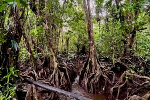 Нуки и Панги: треккинг, река, пляжи и местная история