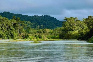Нуки и Панги: треккинг, река, пляжи и местная история