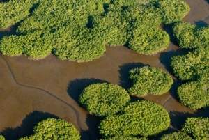 Нуки и Панги: треккинг, река, пляжи и местная история