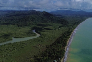 Nuquí Surf Lesson: Ride Pacific Waves with a Local