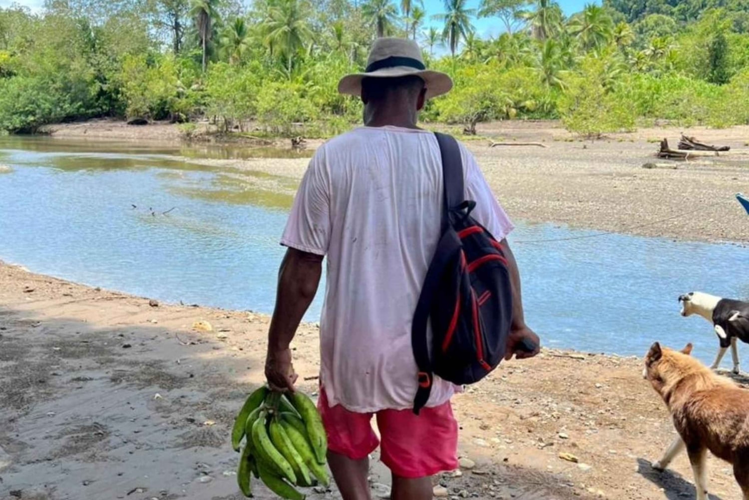 Nuquí & Tribugá: Paisajes, Cultura y Viche Experience