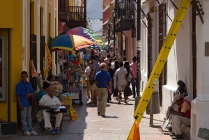 Old Town and Quinta Pedro Alejandrino Santa Marta City Tour