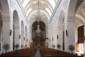 Old Town and Quinta Pedro Alejandrino Santa Marta City Tour