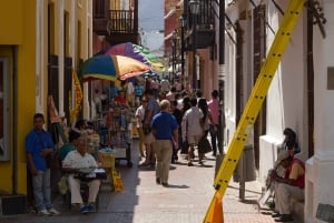 Old Town and Quinta Pedro Alejandrino Santa Marta City Tour