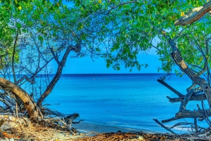 A DAY EXPERIENCE ON ISLA DEL ENCANTO