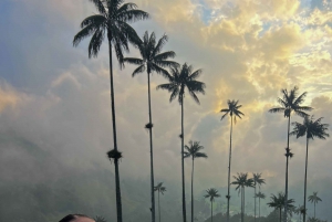 En dagstur til: Cocora-dalen, Salento, Filandia. Quindio Colombia