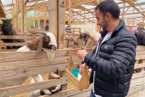 Pablo Escobar Mansion+Paintball+Boat+ATV (Private Guatape)