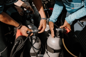 Kurs PADI Open Water w Taganga i Tayrona