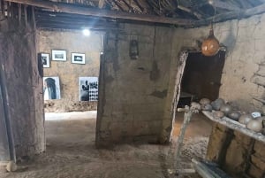 Palenque: one-day tour of African traditions and cultures with lunch