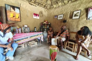Palenque: one-day tour of African traditions and cultures with lunch