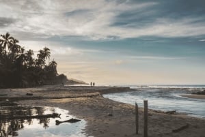Palomino, Colombia: Ridtur på hästryggen på stranden